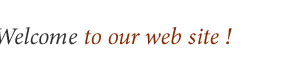 Welcome to Our website!